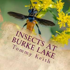 Insects at Burke Lake de Tommy Keith