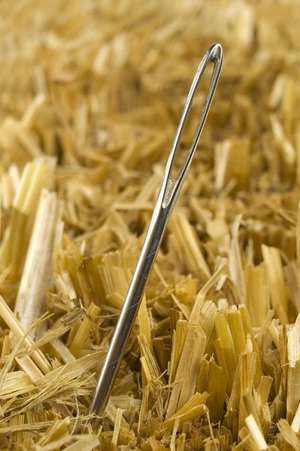 Needle in a Haystack Journal - Found! de Cool Image