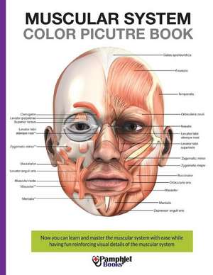 Muscular System Color Picture Book de Pamphlet Books