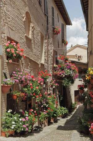 A Quaint Narrow European Road Overflowing with Colorful Flowers Journal de Cs Creations