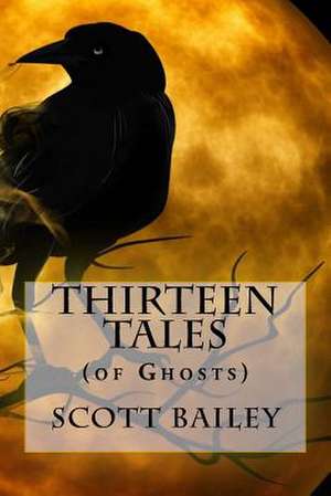 Thirteen Tales de Scott Bailey