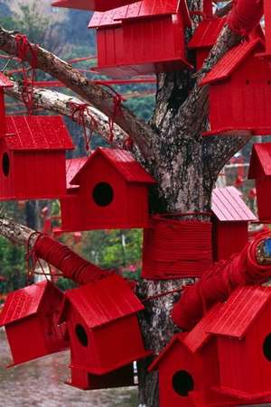 Bunches of Cheerful Red Birdhouses in a Tree Journal de Cs Creations