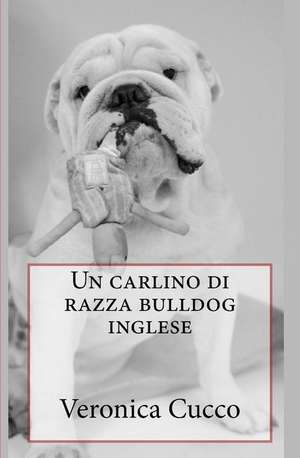 Un Carlino Di Razza Bulldog Inglese de Veronica Cucco