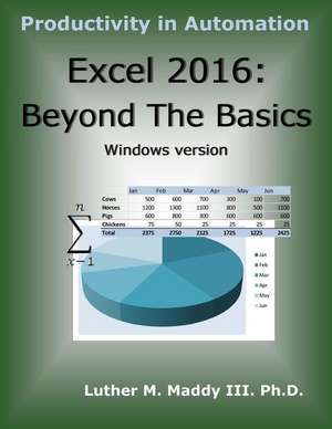 Excel 2016 de Maddy III, Dr Luther M.