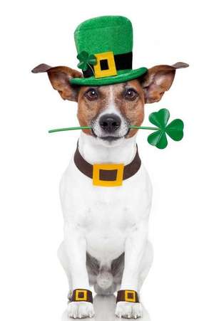 Cute Dog Dressed for St. Patrick's Day Journal de Cs Creations