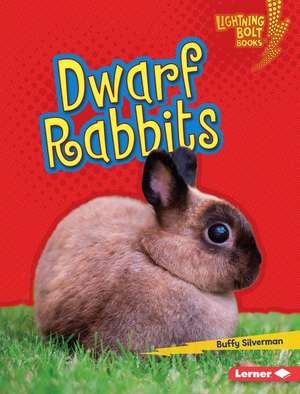 Dwarf Rabbits de Buffy Silverman