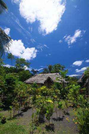 Traditional House in Vanuatu Journal de Cool Image