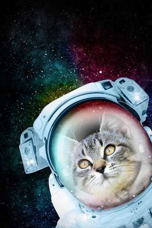 Cool Cosmic Astronaut Cat in a Spacesuit Exploring the Universe Fantasy Collage Journal de Cs Creations