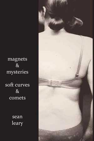 Magnets and Mysteries, Soft Curves and Comets de Sean Leary