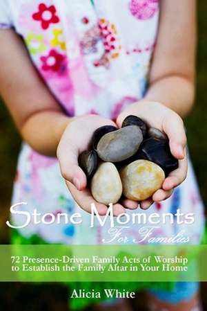 Stone Moments for Families de Alicia White