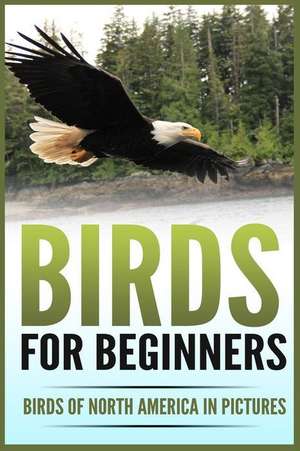 Birds for Beginners de Cloverdale, Pippa