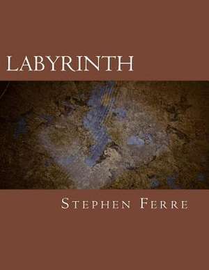 Labyrinth de Stephen Ferre