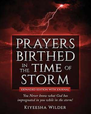 Prayers Birthed in the Time of Storm de Wilder, Kiyeesha