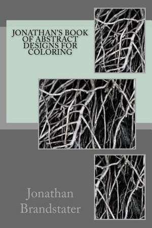 Jonathan's Book of Abstract Designs for Coloring de MR Jonathan Jay Brandstater