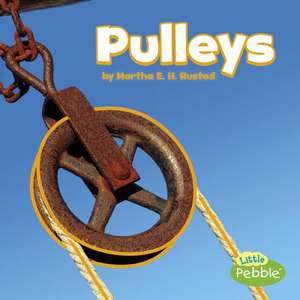 Pulleys de Martha E H Rustad