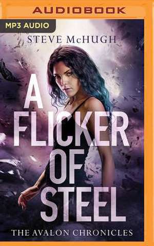 A Flicker of Steel de Steve McHugh