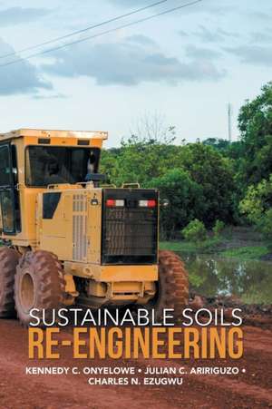 Sustainable Soils Re-Engineering de Kennedy C. Onyelowe