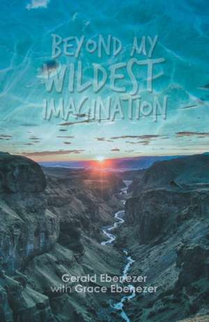 Beyond My Wildest Imagination de Gerald Ebenezer