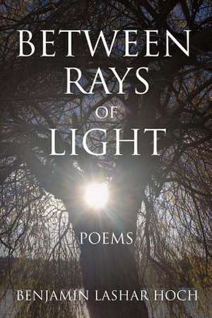 Between Rays of Light: Poems Volume 1 de Benjamin Lashar Hoch