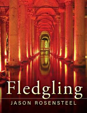 Fledgling: Volume 1 de Jason Rosensteel