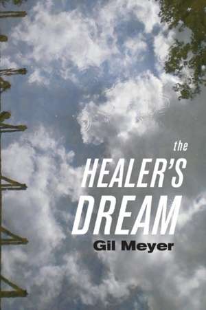 The Healer's Dream: Volume 1 de Gil Meyer