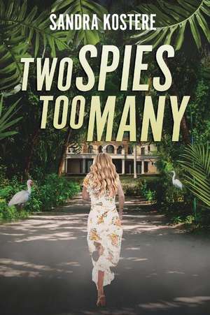 Two Spies Too Many de Sandra Kostere