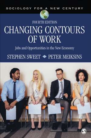 Changing Contours of Work de Stephen A Sweet