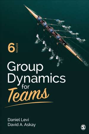 Levi, D: Group Dynamics for Teams