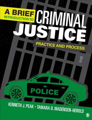 A Brief Introduction to Criminal Justice de Kenneth J J Peak