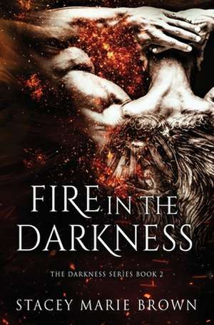 Fire in the Darkness de Stacey Marie Brown