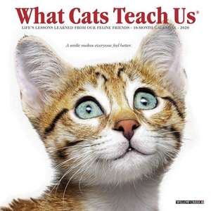 What Cats Teach Us 2020 Mini Wall Calendar de Willow Creek Press