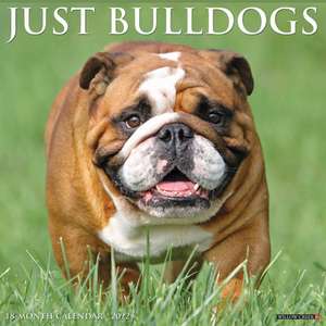 BULLDOGS 2022 WALL CALENDAR de Willow Creek Press