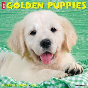 GOLDEN PUPPIES 2022 WALL CALENDAR de Willow Creek Press