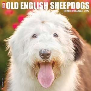 OLD ENGLISH SHEEPDOGS 2022 WALL CALENDAR de Willow Creek Press