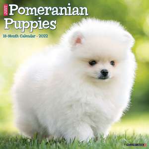 POMERANIAN PUPPIES 2022 WALL CALENDAR de Willow Creek Press