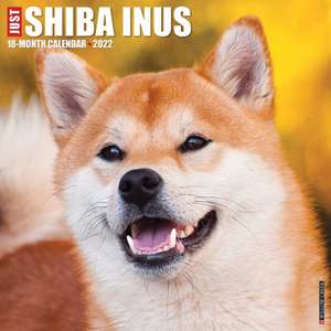 SHIBA INUS 2022 WALL CALENDAR de Willow Creek Press