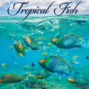 TROPICAL FISH 2022 WALL CALENDAR de Willow Creek Press