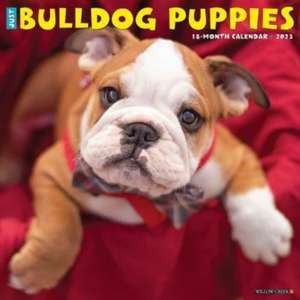 Just Bulldog Puppies 2023 Wall Calendar de Willow Creek Press