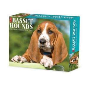 Basset Hounds 2025 6.2 X 5.4 Box Calendar de Willow Creek Press