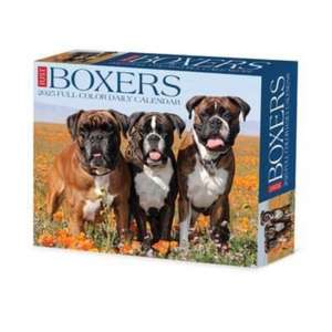 Boxers 2025 6.2 X 5.4 Box Calendar de Willow Creek Press