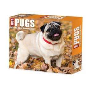 Pugs 2025 6.2 X 5.4 Box Calendar de Willow Creek Press