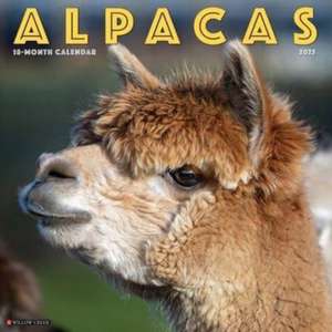 Alpacas 2025 12 X 12 Wall Calendar de Willow Creek Press