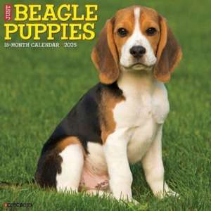 Just Beagle Puppies 2025 12 X 12 Wall Calendar de Willow Creek Press