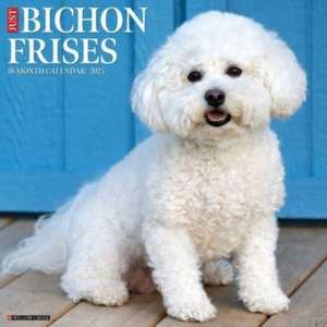 Just Bichons Frises 2025 12 X 12 Wall Calendar de Willow Creek Press