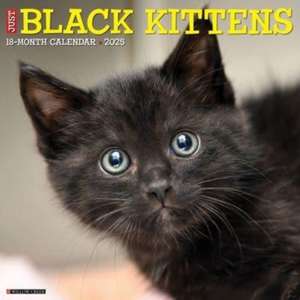 Just Black Kittens 2025 12 X 12 Wall Calendar de Willow Creek Press