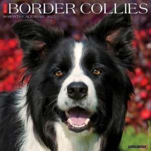 Just Border Collies 2025 12 X 12 Wall Calendar de Willow Creek Press