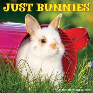 Just Bunnies 2025 12 X 12 Wall Calendar de Willow Creek Press