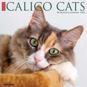 Just Calico Cats 2025 12 X 12 Wall Calendar de Willow Creek Press