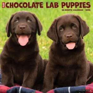 Just Chocolate Lab Puppies 2025 12 X 12 Wall Calendar de Willow Creek Press