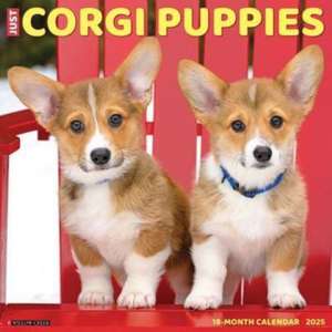 Just Corgi Puppies 2025 12 X 12 Wall Calendar de Willow Creek Press